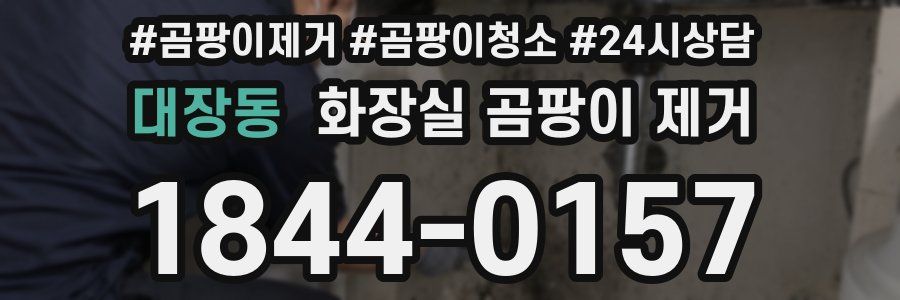 대장동 화장실 곰팡이 제거