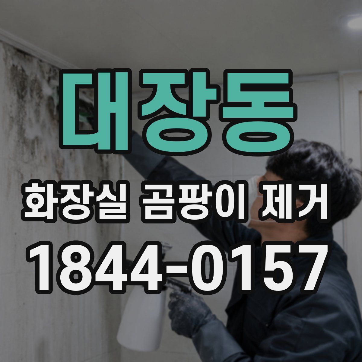 대장동 화장실 곰팡이 제거