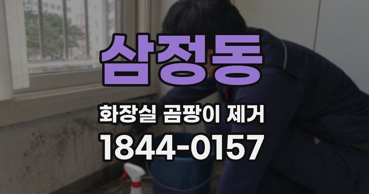 삼정동 화장실 곰팡이 제거