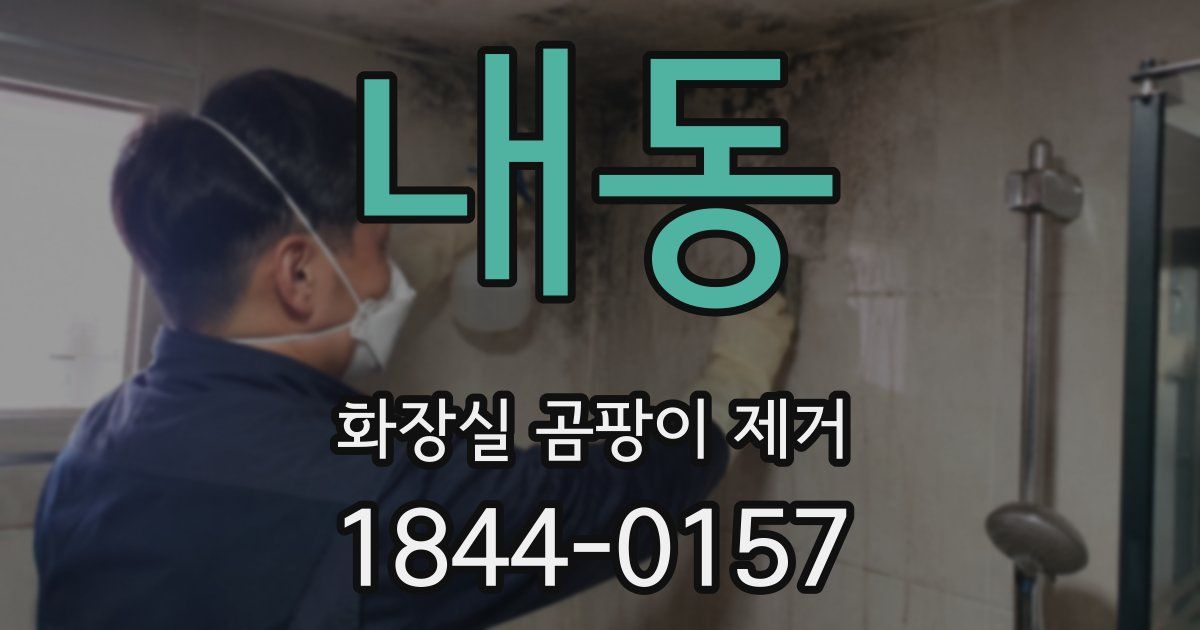 내동 화장실 곰팡이 제거