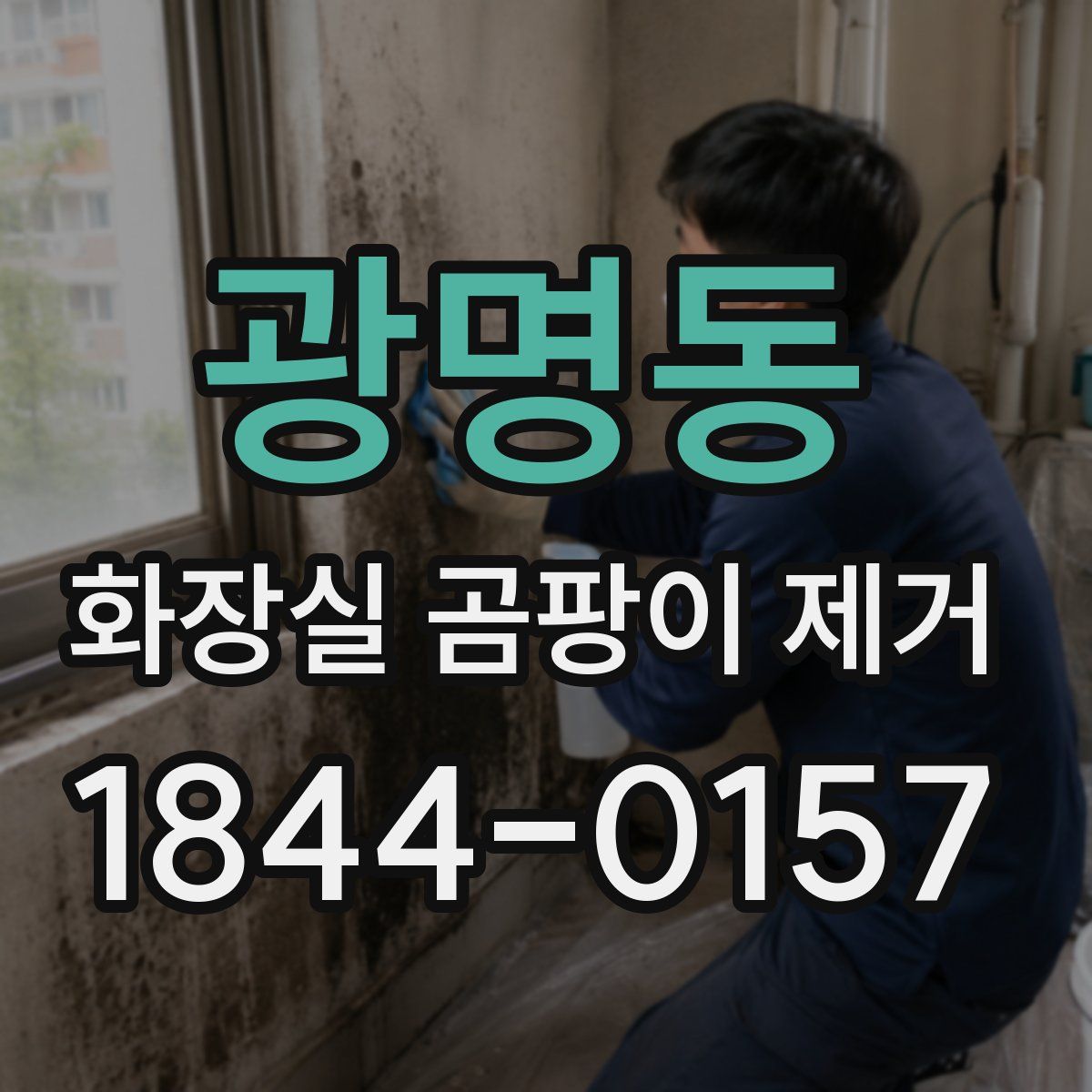 광명동 화장실 곰팡이 제거