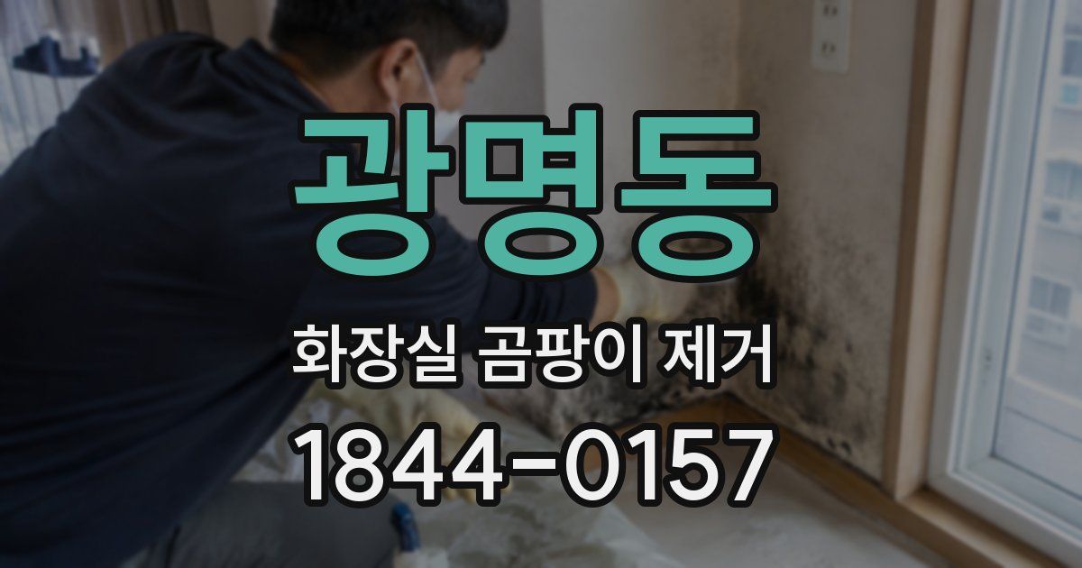 광명동 화장실 곰팡이 제거