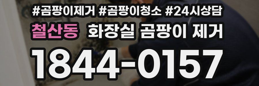 철산동 화장실 곰팡이 제거