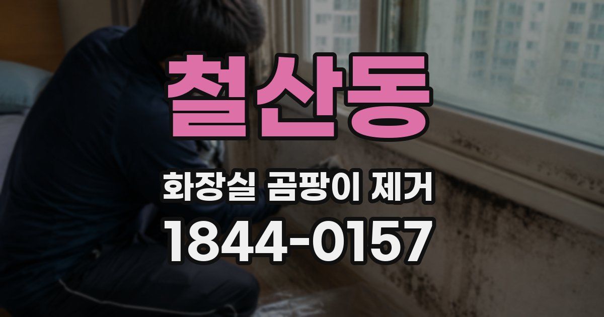 철산동 화장실 곰팡이 제거