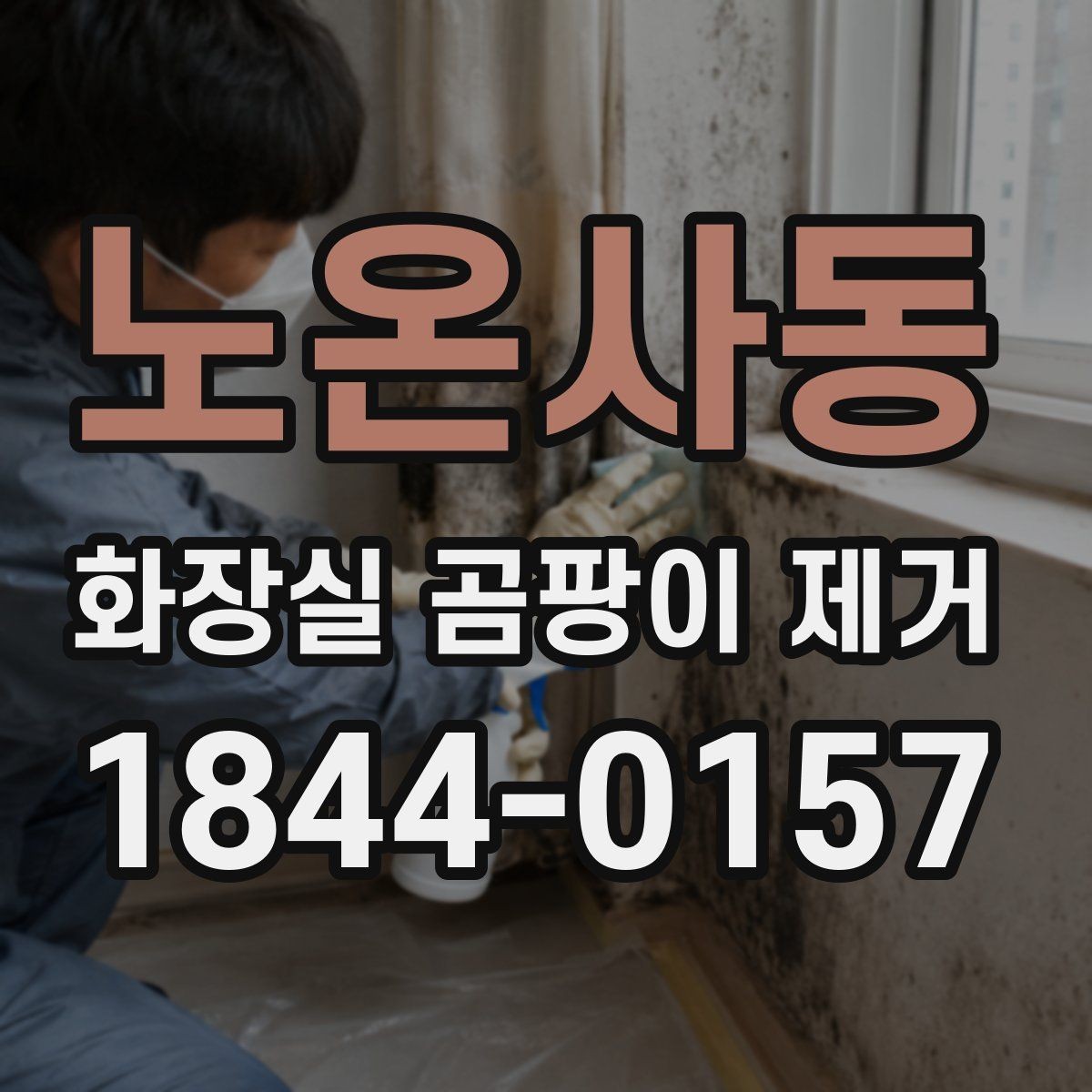 노온사동 화장실 곰팡이 제거 습한 계절에 재발이 잦은 위치 체크