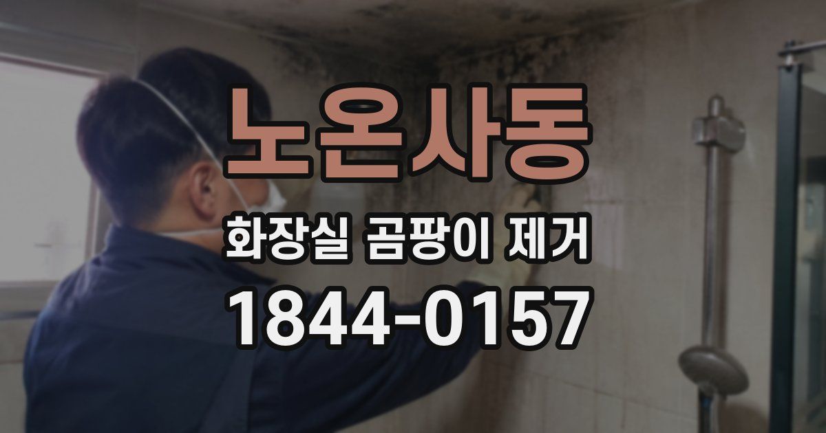노온사동 화장실 곰팡이 제거