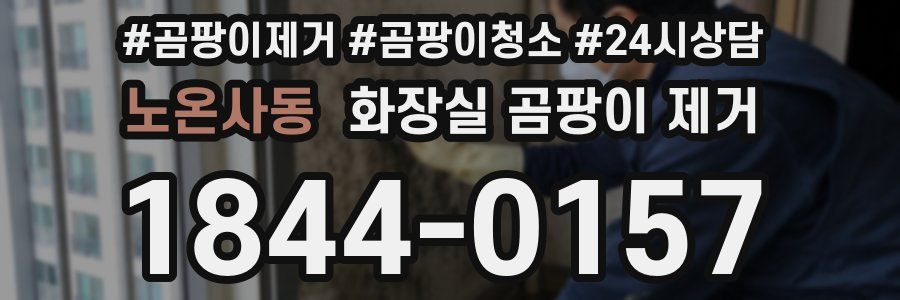 노온사동 화장실 곰팡이 제거