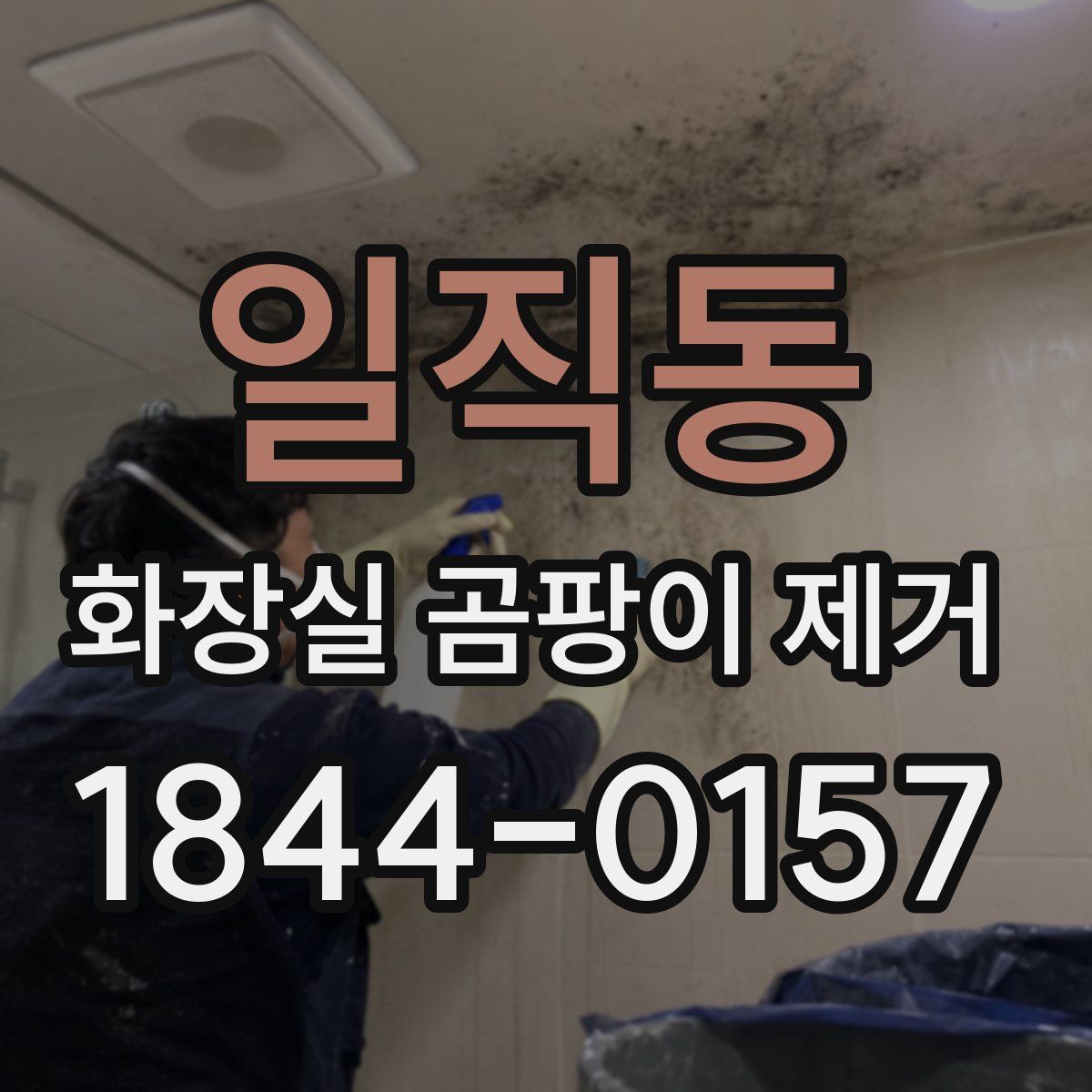 일직동 화장실 곰팡이 제거