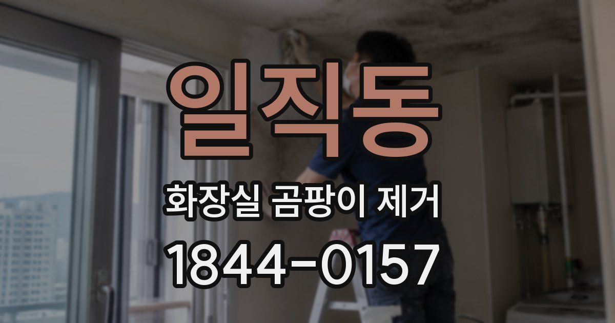 일직동 화장실 곰팡이 제거