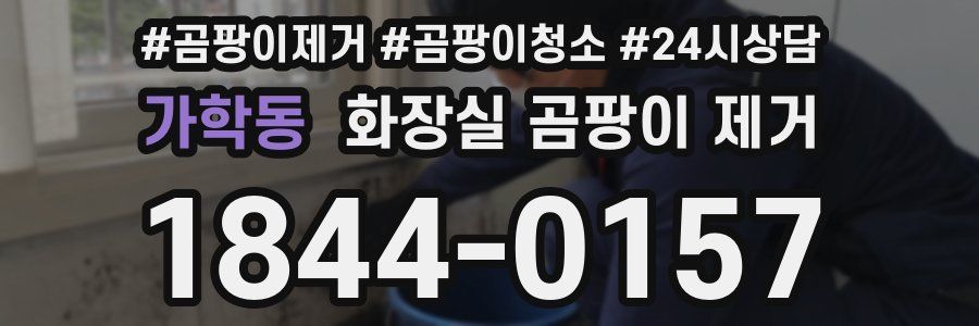 가학동 화장실 곰팡이 제거