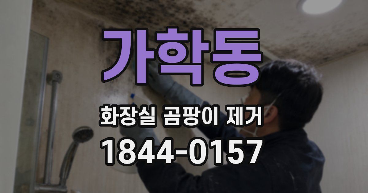 가학동 화장실 곰팡이 제거