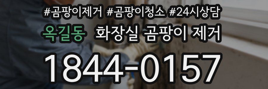 옥길동 화장실 곰팡이 제거
