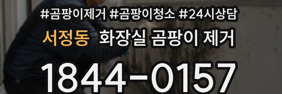 서정동 화장실 곰팡이 제거
