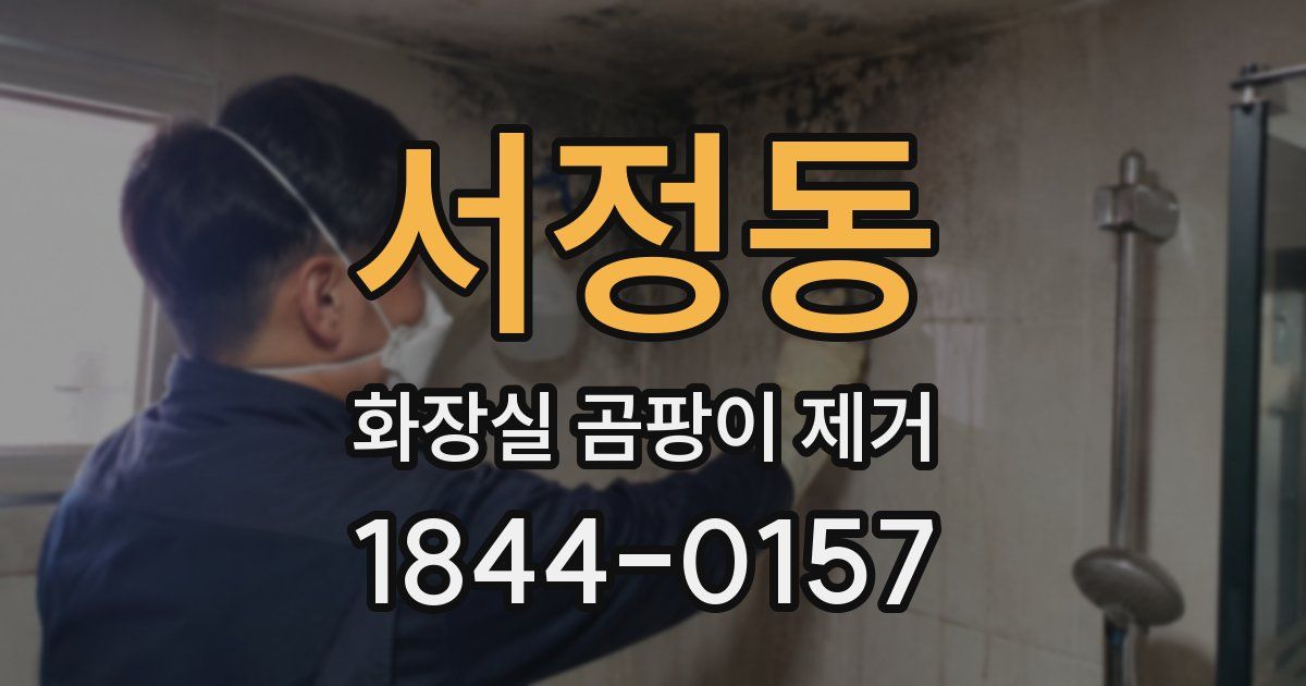 서정동 화장실 곰팡이 제거