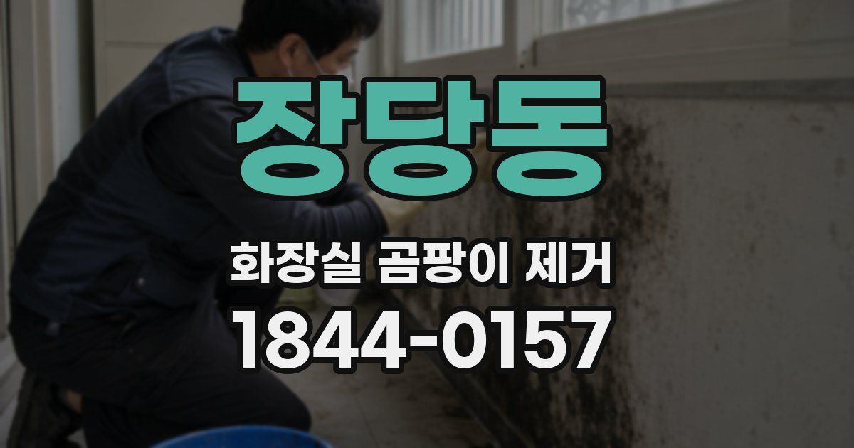 장당동 화장실 곰팡이 제거