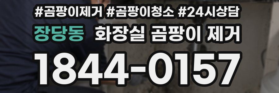 장당동 화장실 곰팡이 제거