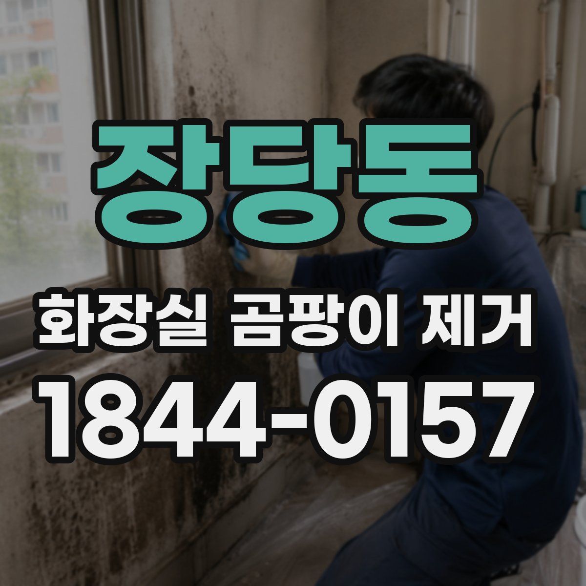장당동 화장실 곰팡이 제거