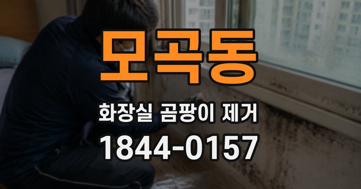 모곡동 화장실 곰팡이 제거