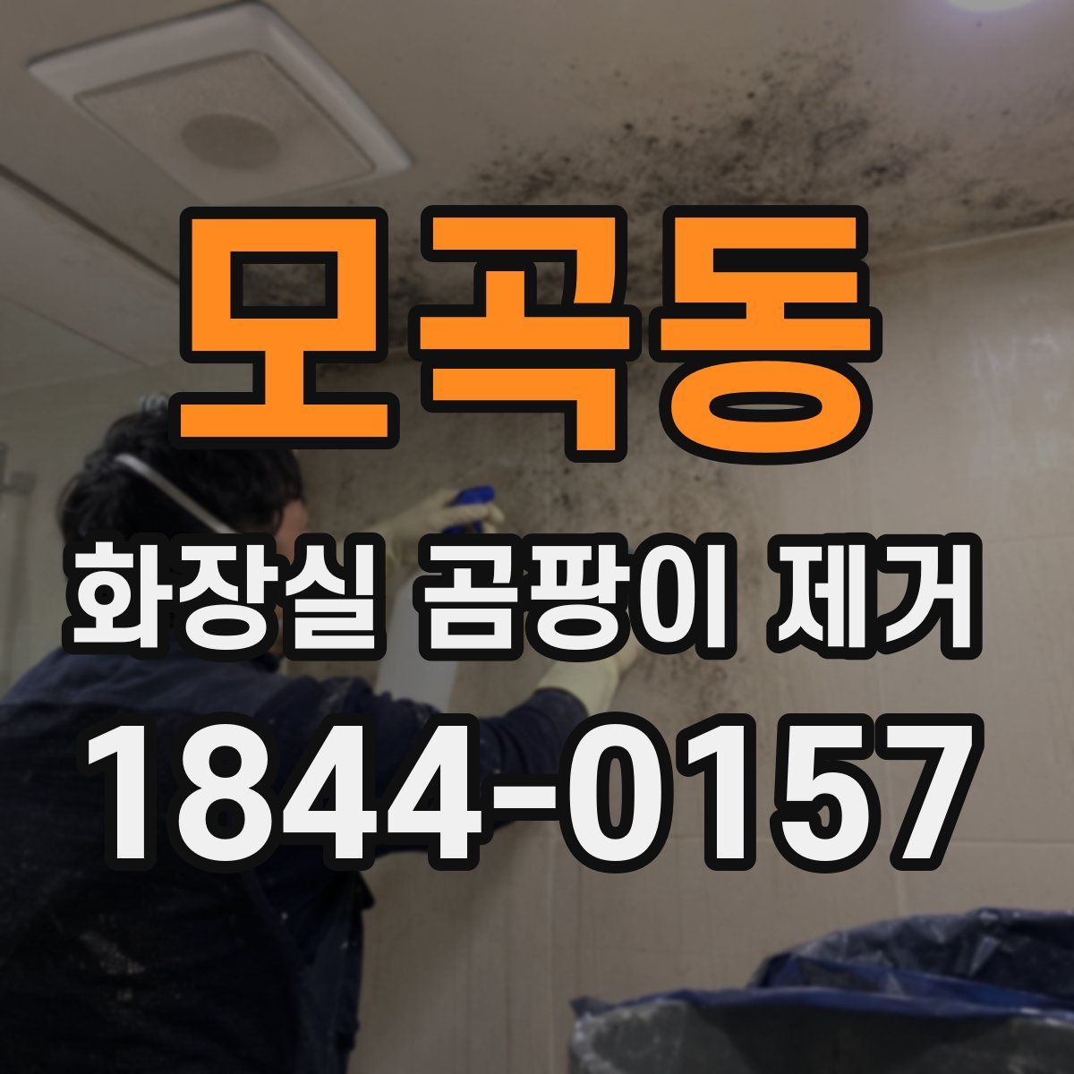 모곡동 화장실 곰팡이 제거