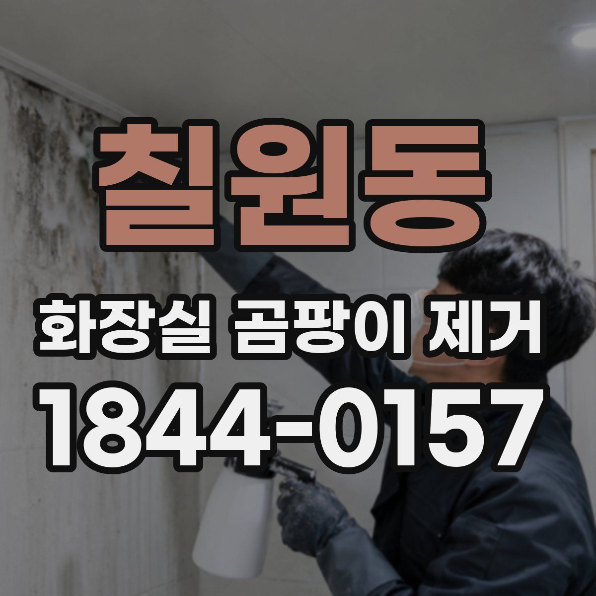 칠원동 화장실 곰팡이 제거
