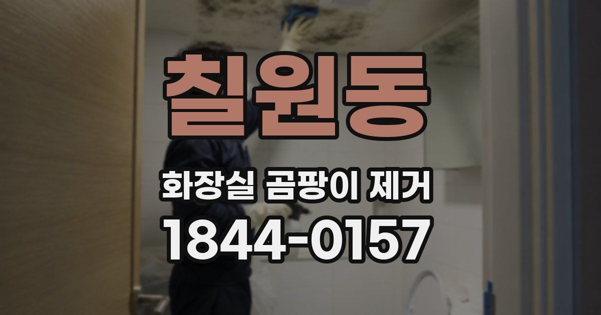 칠원동 화장실 곰팡이 제거