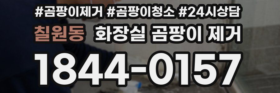칠원동 화장실 곰팡이 제거