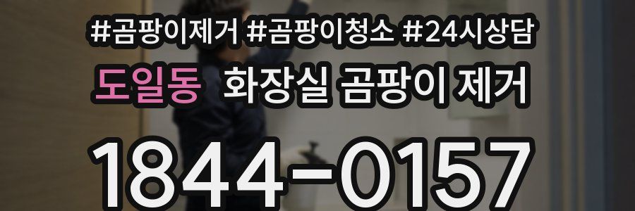 도일동 화장실 곰팡이 제거