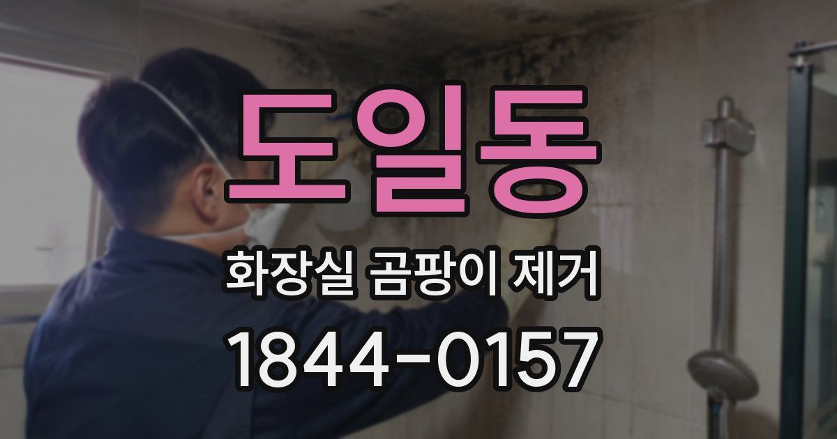 도일동 화장실 곰팡이 제거