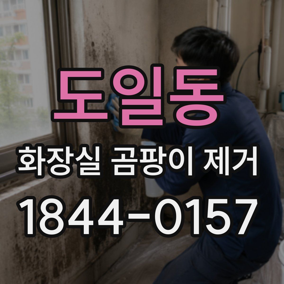 도일동 화장실 곰팡이 제거