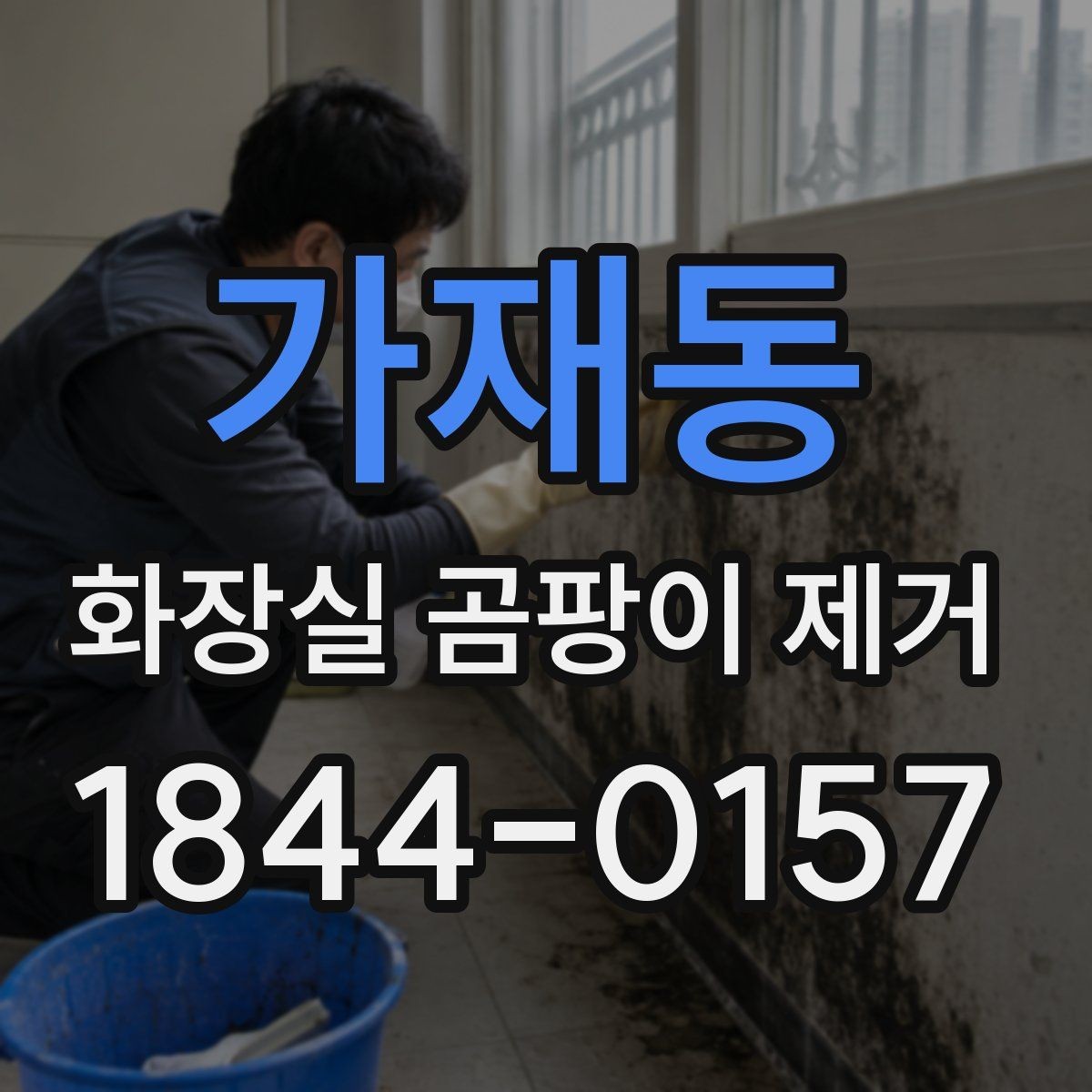 가재동 화장실 곰팡이 제거 곰팡이 번식 원인부터 정리하는 과정