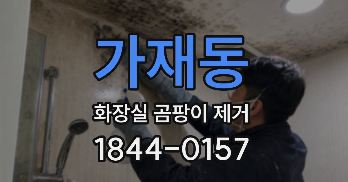 가재동 화장실 곰팡이 제거