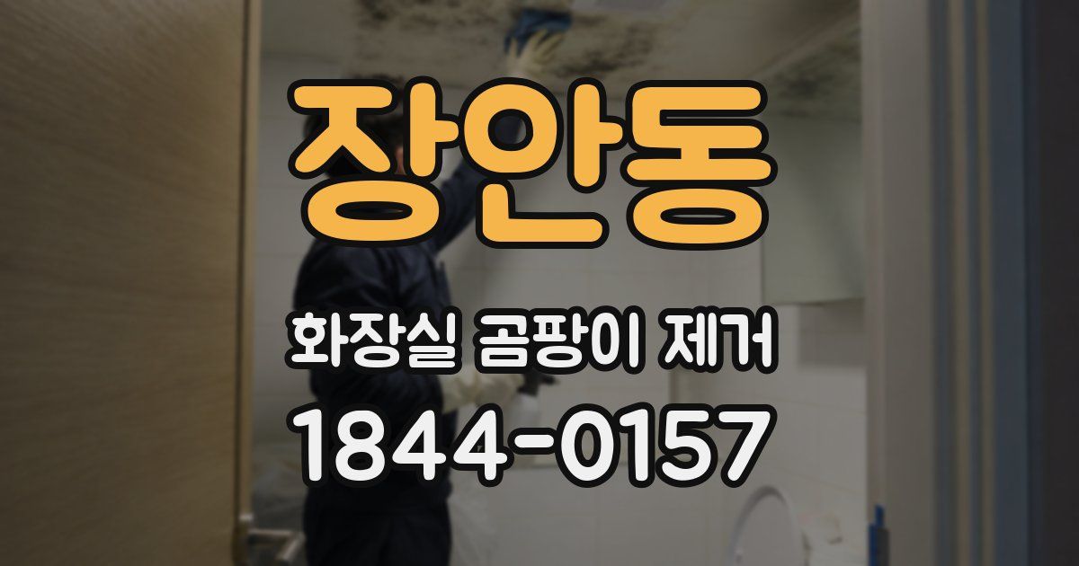 장안동 화장실 곰팡이 제거