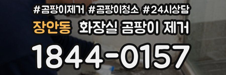 장안동 화장실 곰팡이 제거