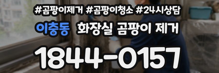 이충동 화장실 곰팡이 제거