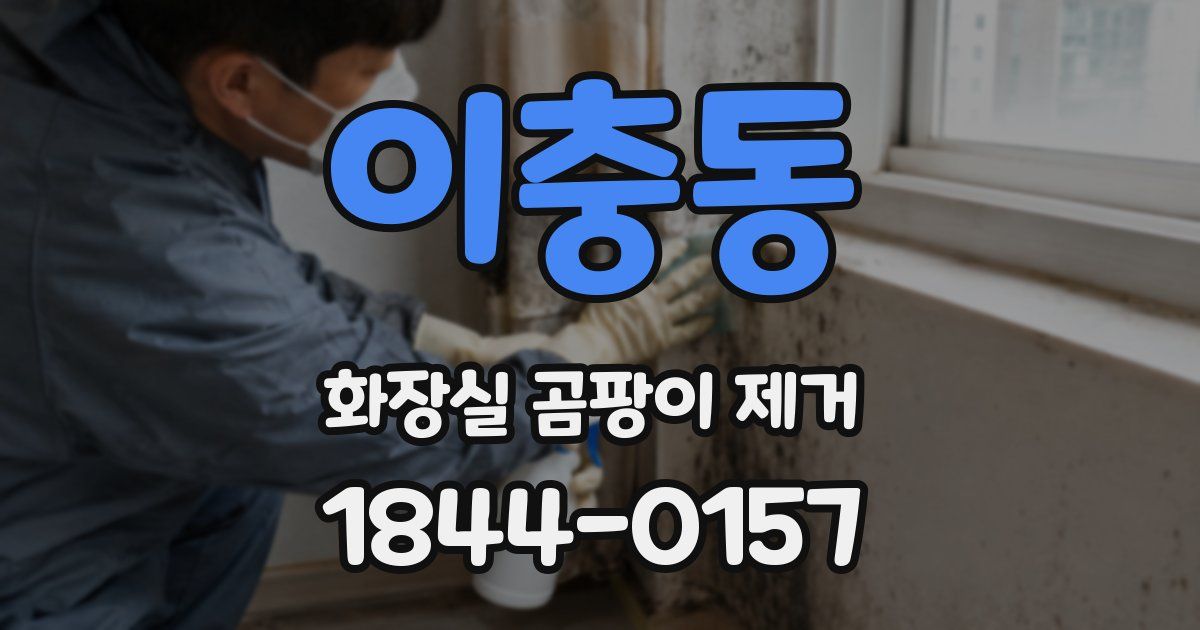 이충동 화장실 곰팡이 제거