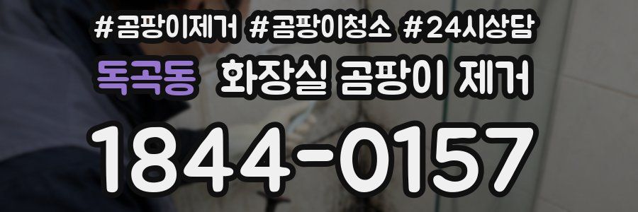 독곡동 화장실 곰팡이 제거