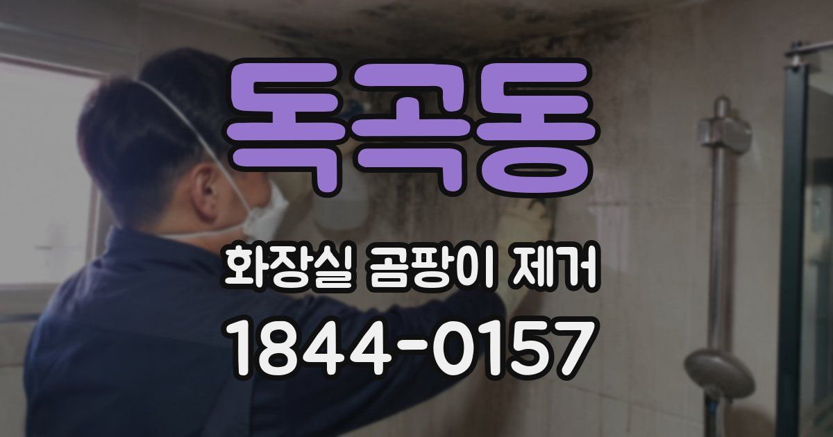 독곡동 화장실 곰팡이 제거