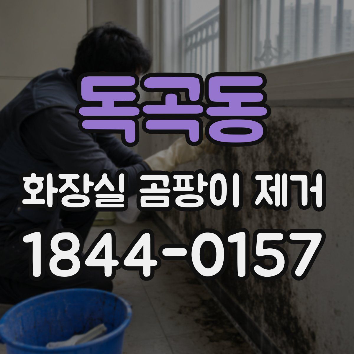 독곡동 화장실 곰팡이 제거