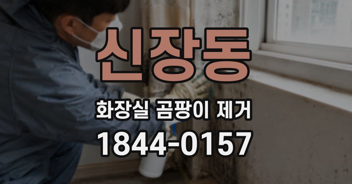 신장동 화장실 곰팡이 제거