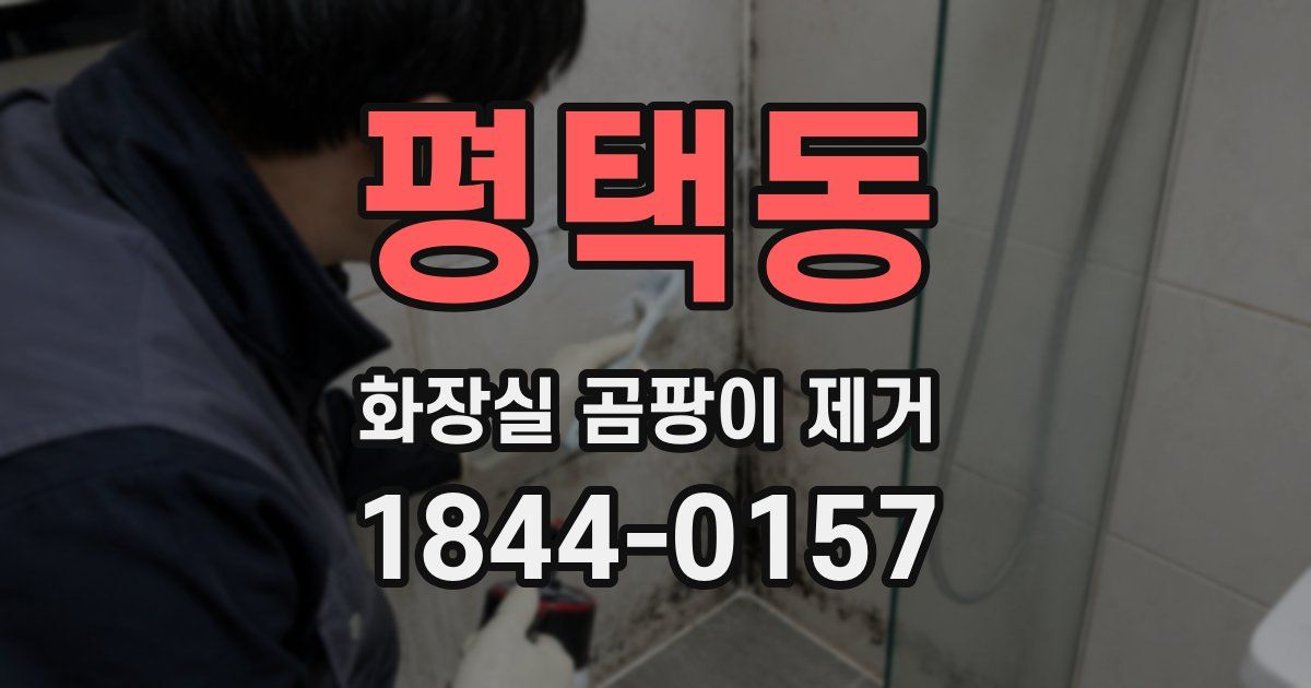 평택동 화장실 곰팡이 제거