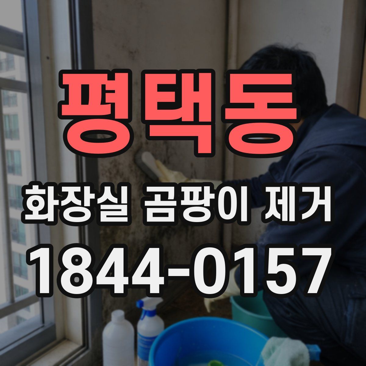 평택동 화장실 곰팡이 제거