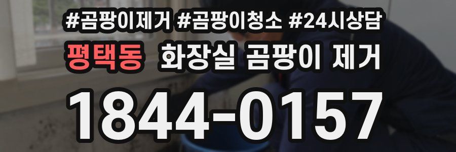 평택동 화장실 곰팡이 제거