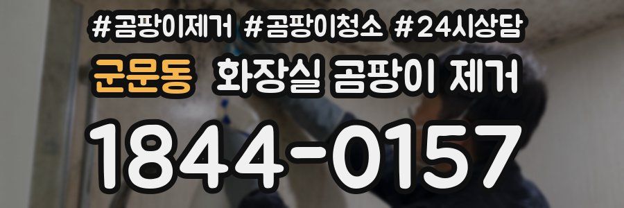 군문동 화장실 곰팡이 제거