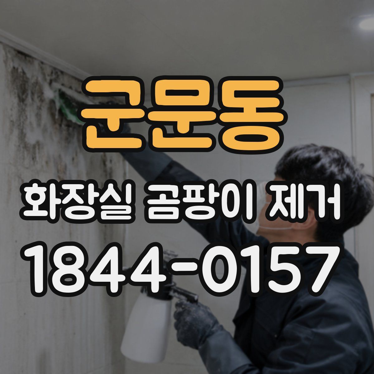 군문동 화장실 곰팡이 제거