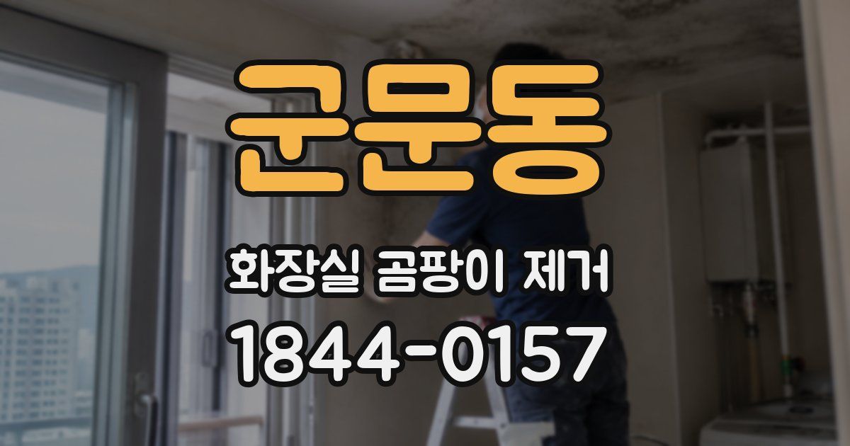 군문동 화장실 곰팡이 제거