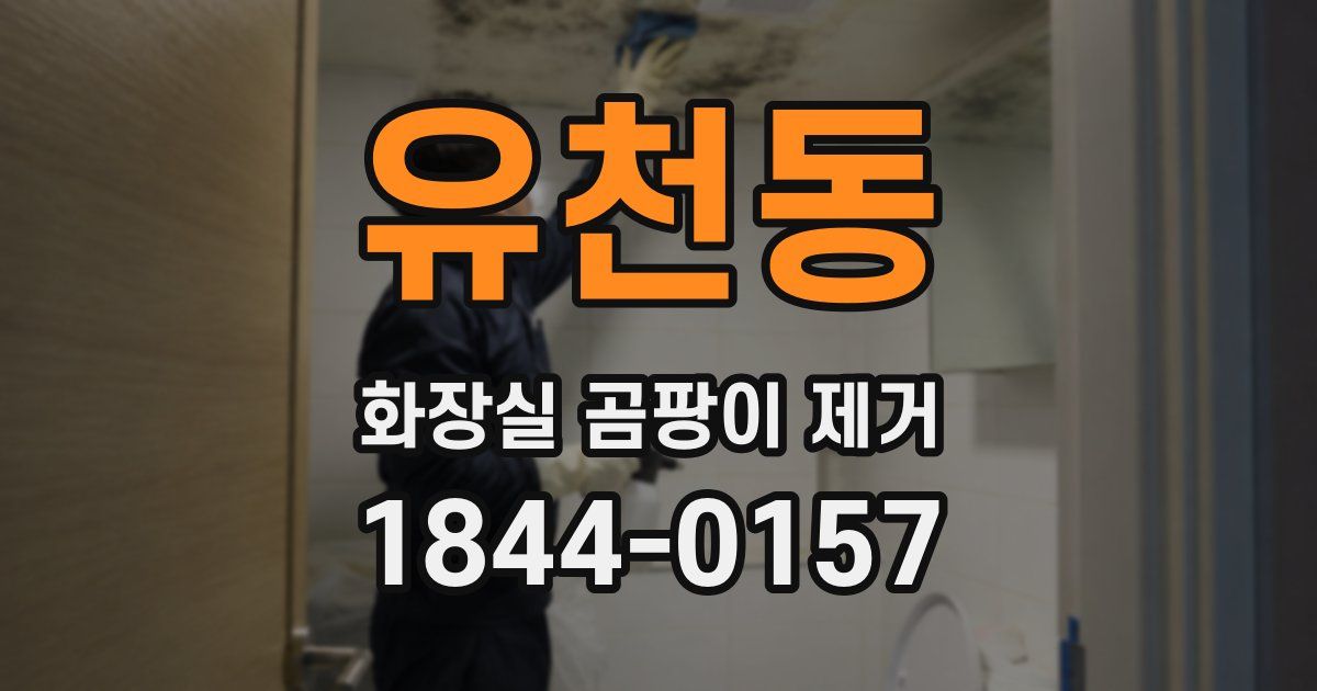 유천동 화장실 곰팡이 제거