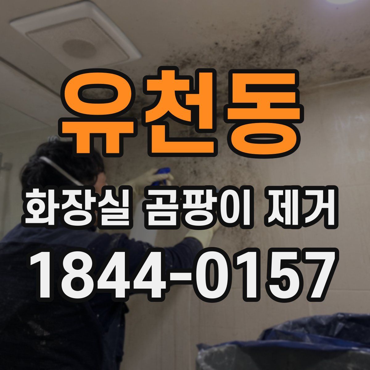 유천동 화장실 곰팡이 제거