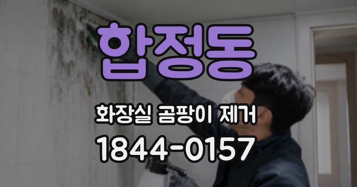 합정동 화장실 곰팡이 제거