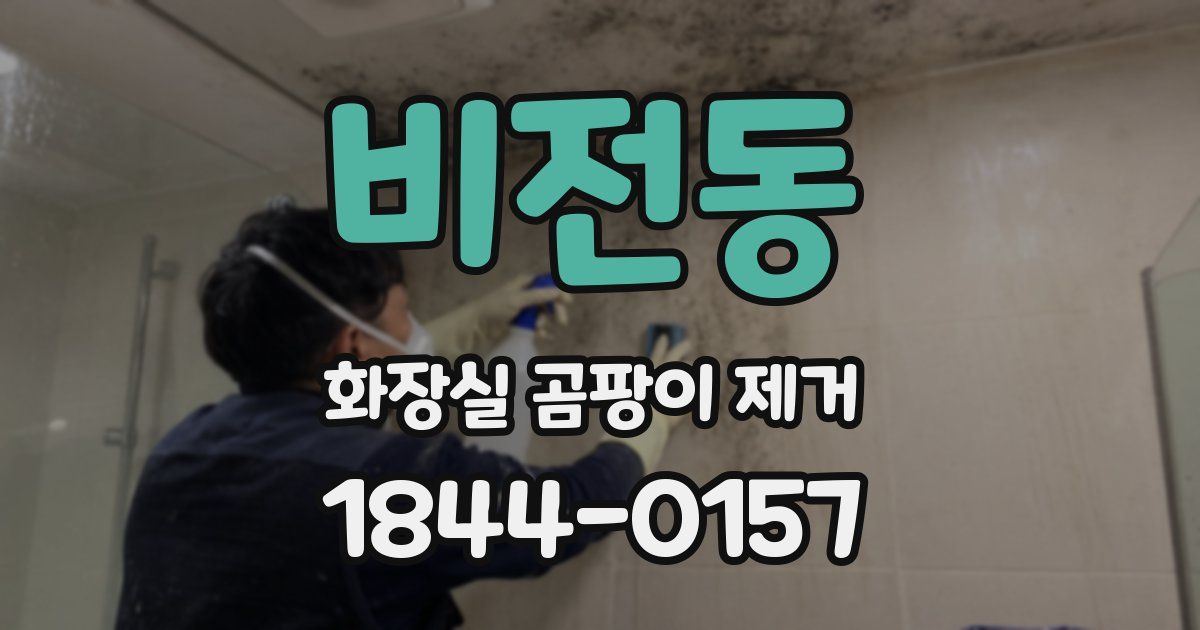 비전동 화장실 곰팡이 제거