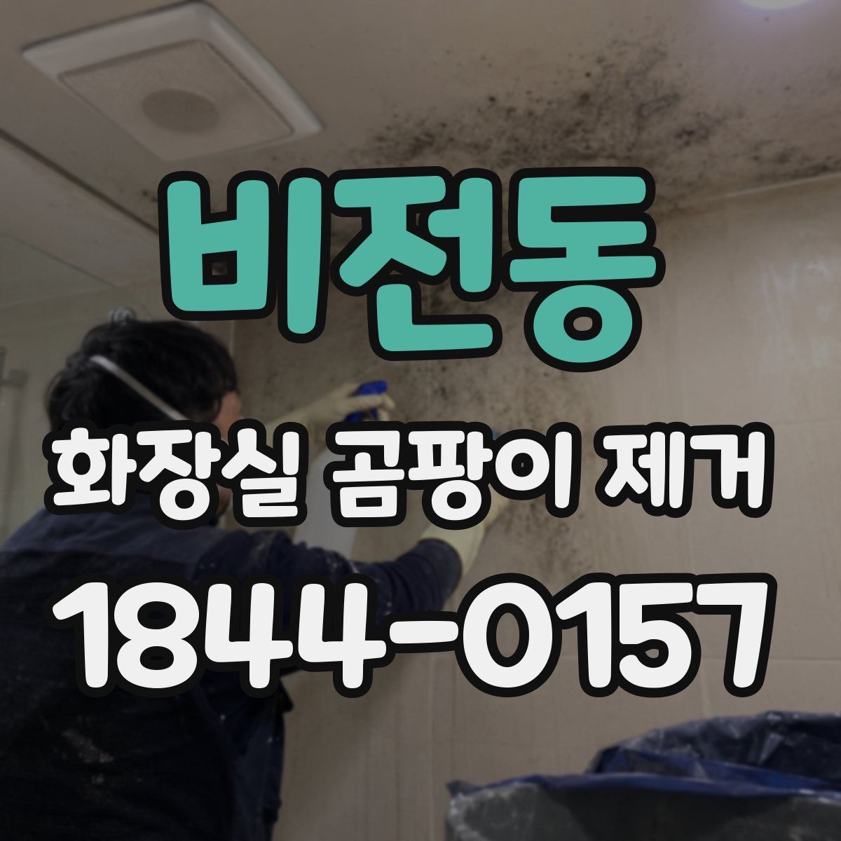 비전동 화장실 곰팡이 제거